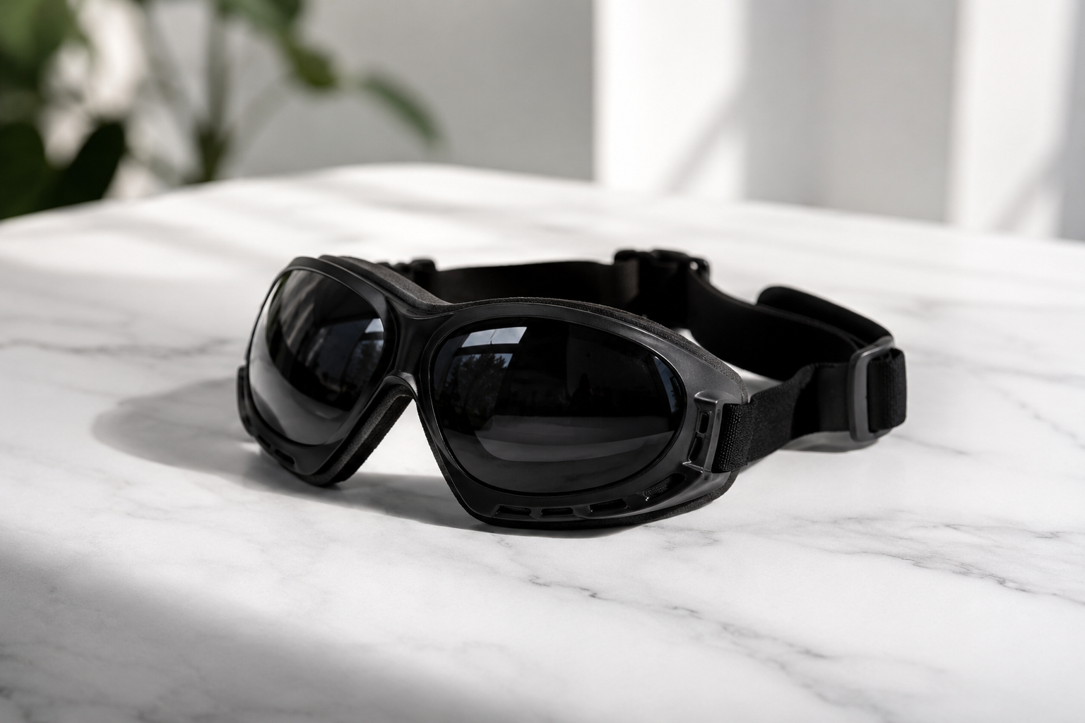 VisionK9™
